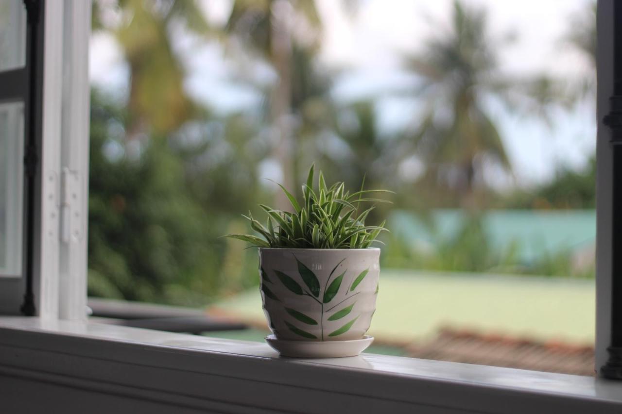 Tiny An Homestay 顺化 外观 照片
