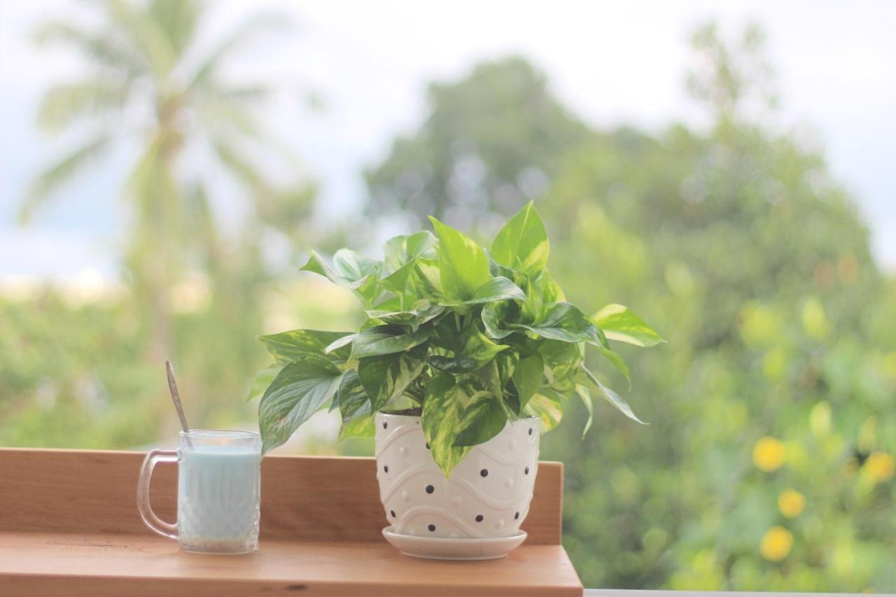 Tiny An Homestay 顺化 外观 照片